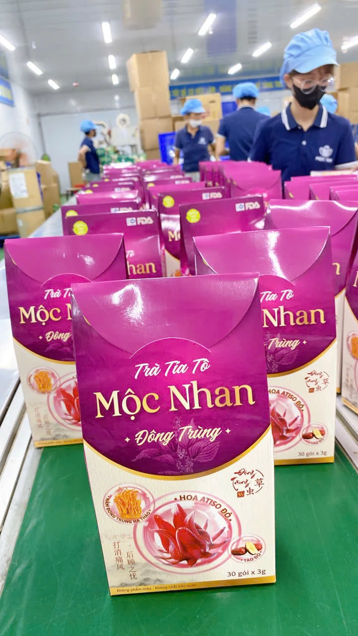 Thaomocnamviet Com