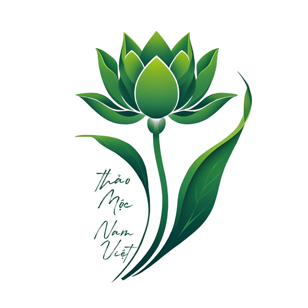 Thaomocnamviet Com