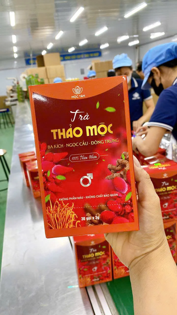 Thaomocnamviet Com