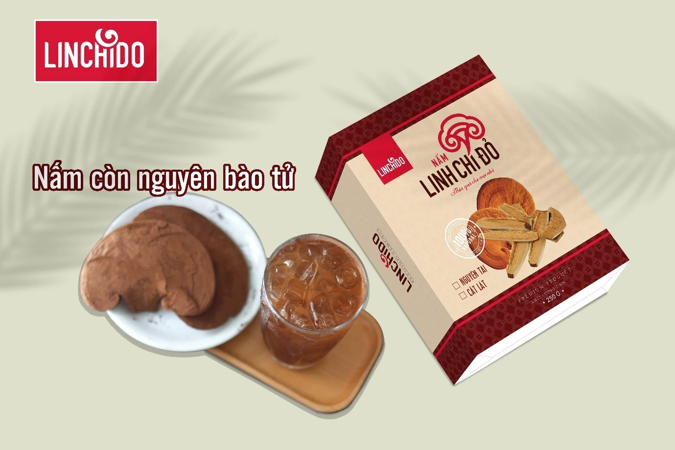 Thaomocnamviet Com 29