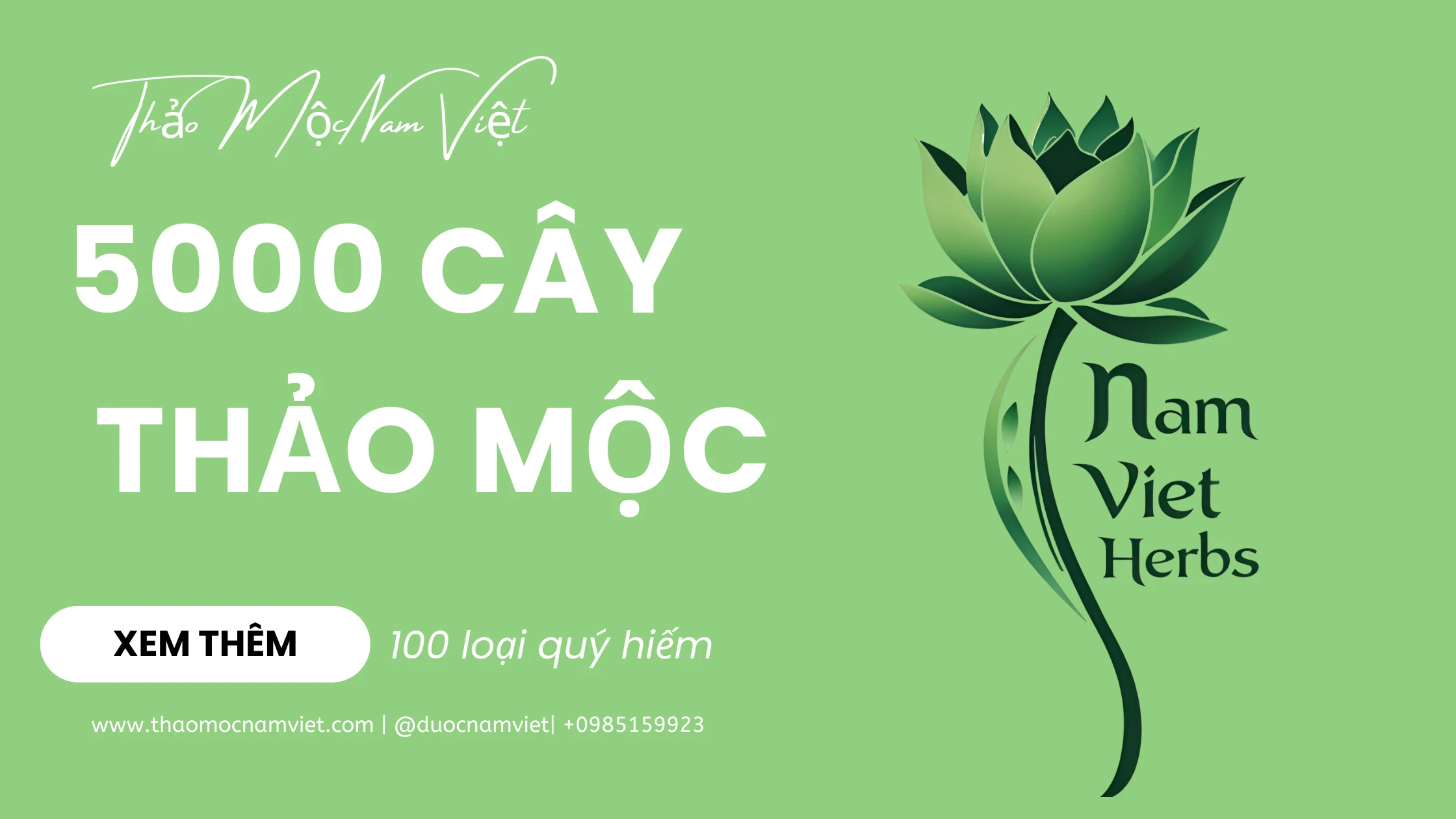 Thaomocnamviet Com